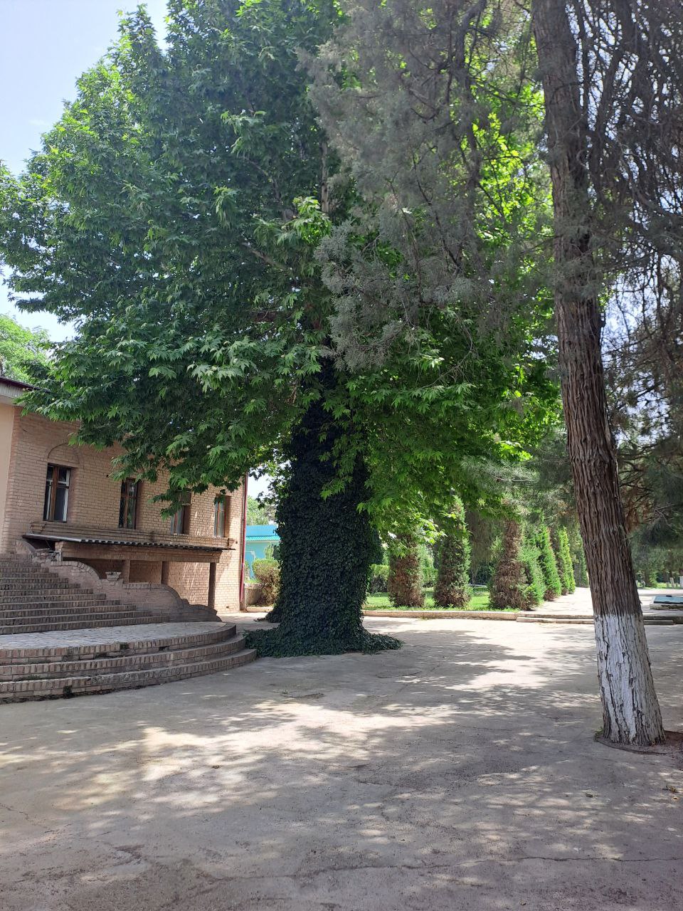 Tarixiy vino muzeyi va asrlik ko‘kalamzor chinor